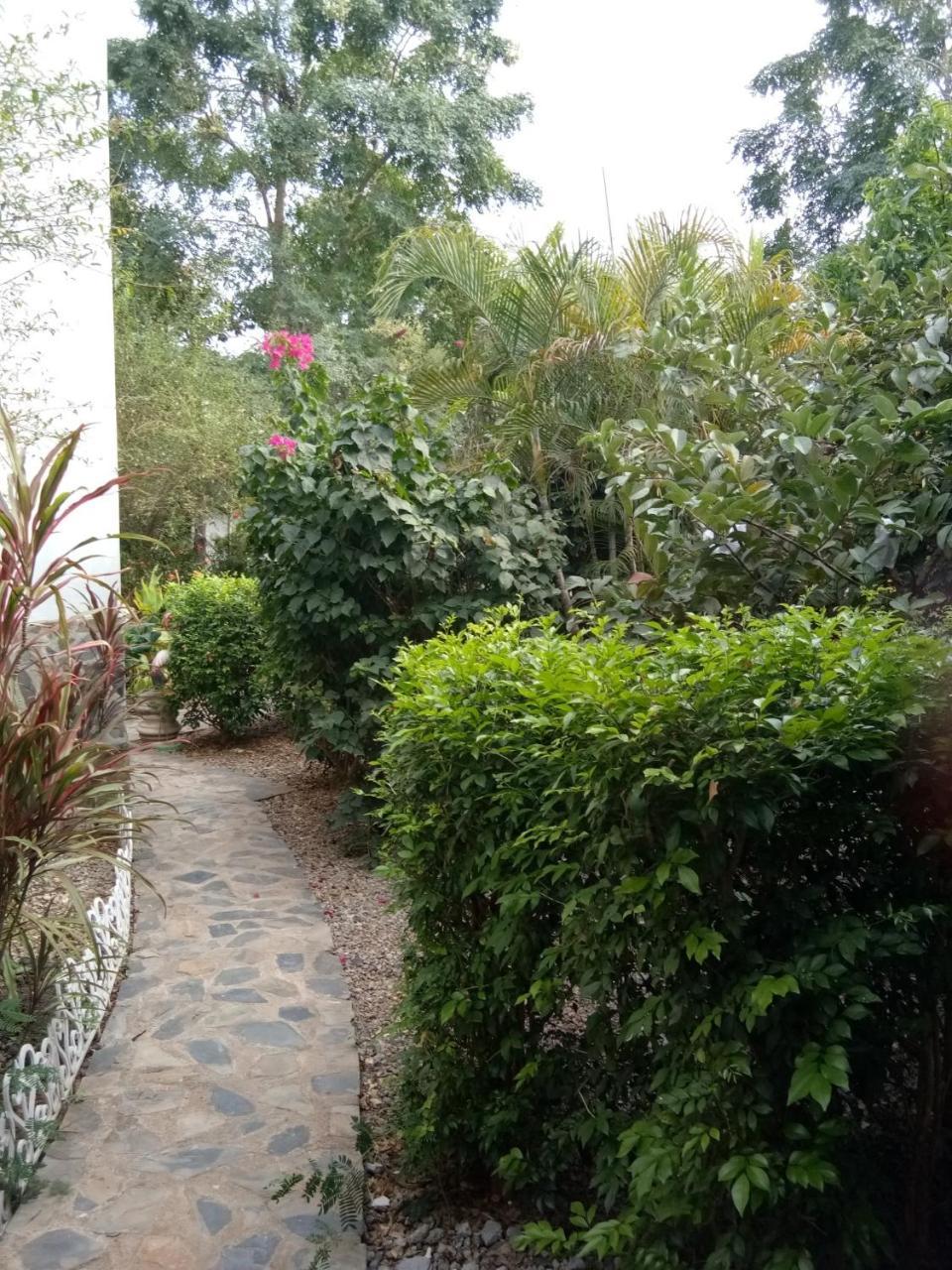 Thai Castle Resort Ban Thap Sila Exterior photo